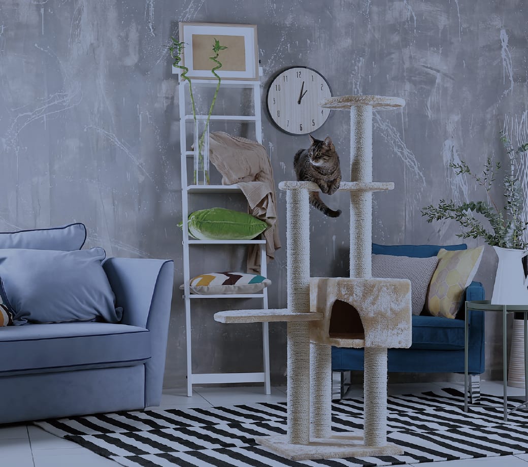 ペットルームの画像